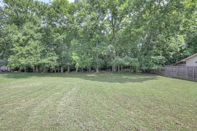 a view of a backyard