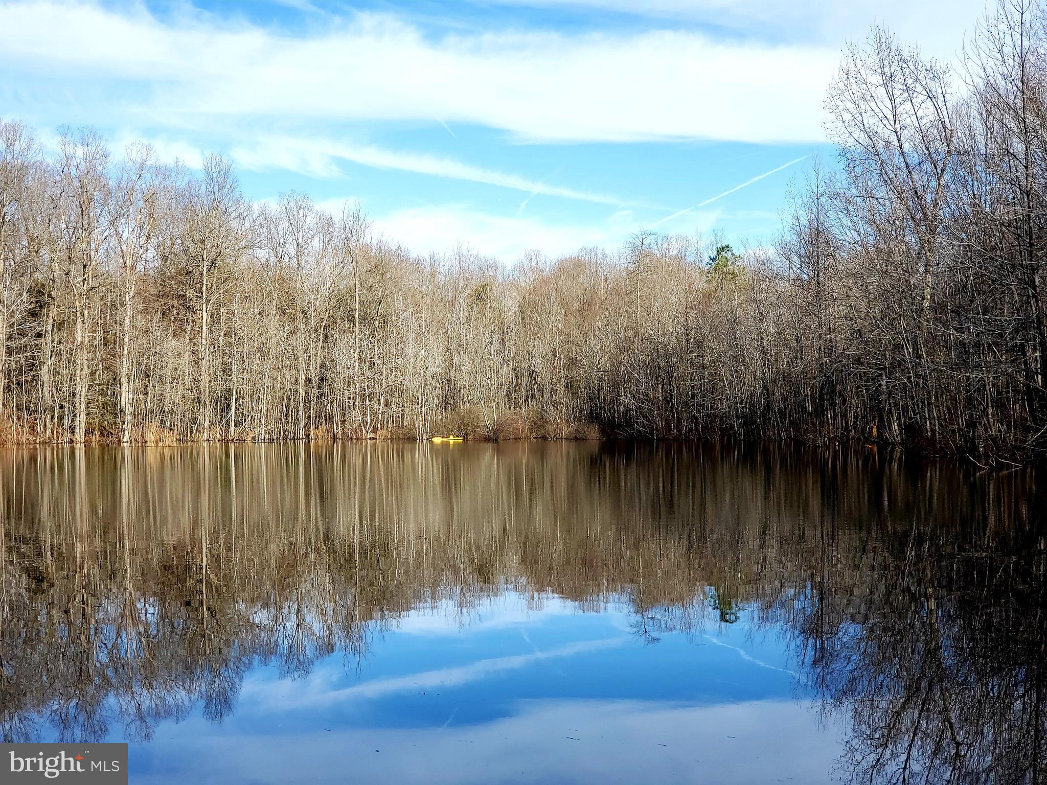 5701 Partlow Road Partlow, VA 22534 - Photo 45 of 81 view on pond
