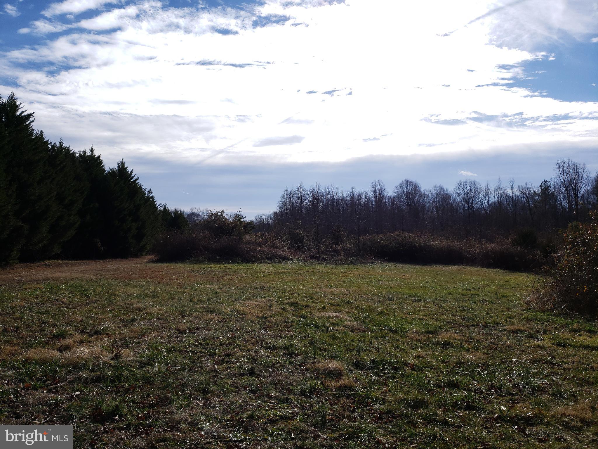 5701 Partlow Road Partlow, VA 22534 - Photo 49 of 81 Gallery Image 49