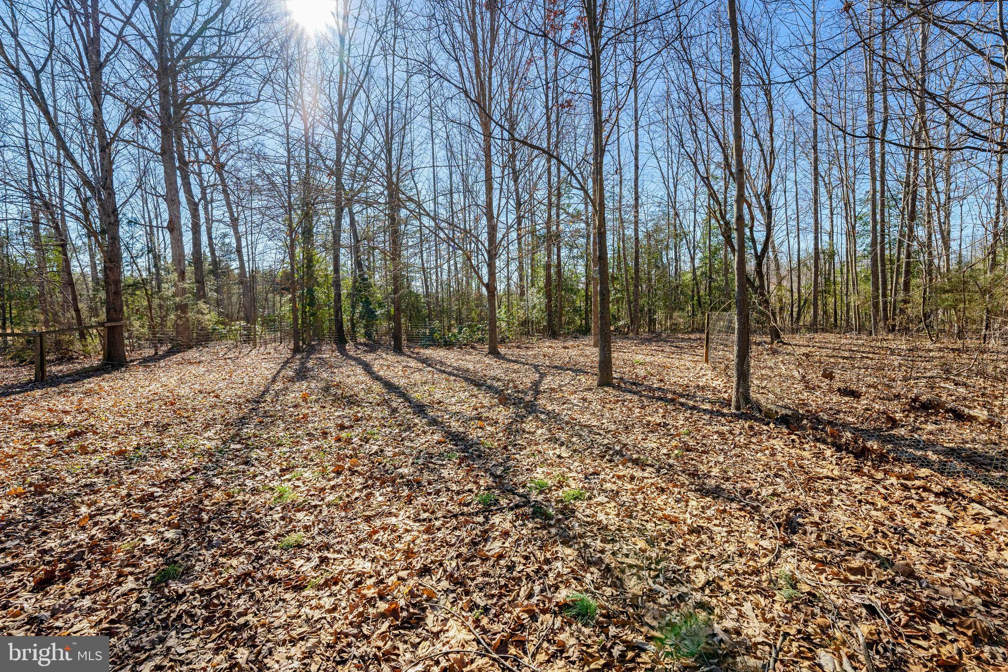 5701 Partlow Road Partlow, VA 22534 - Photo 54 of 81 Gallery Image 54