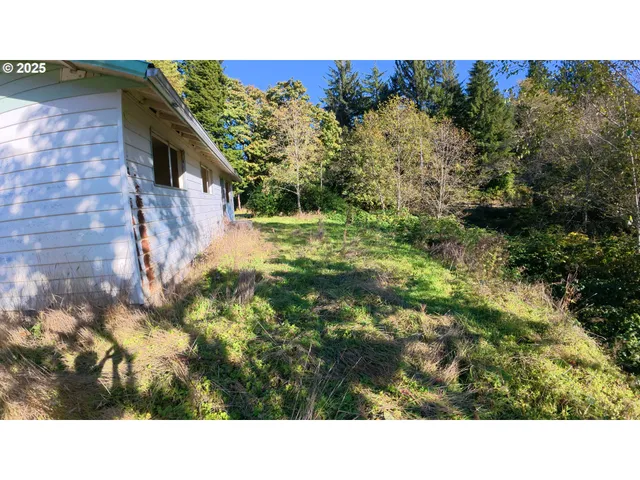 a black and white photo of a park