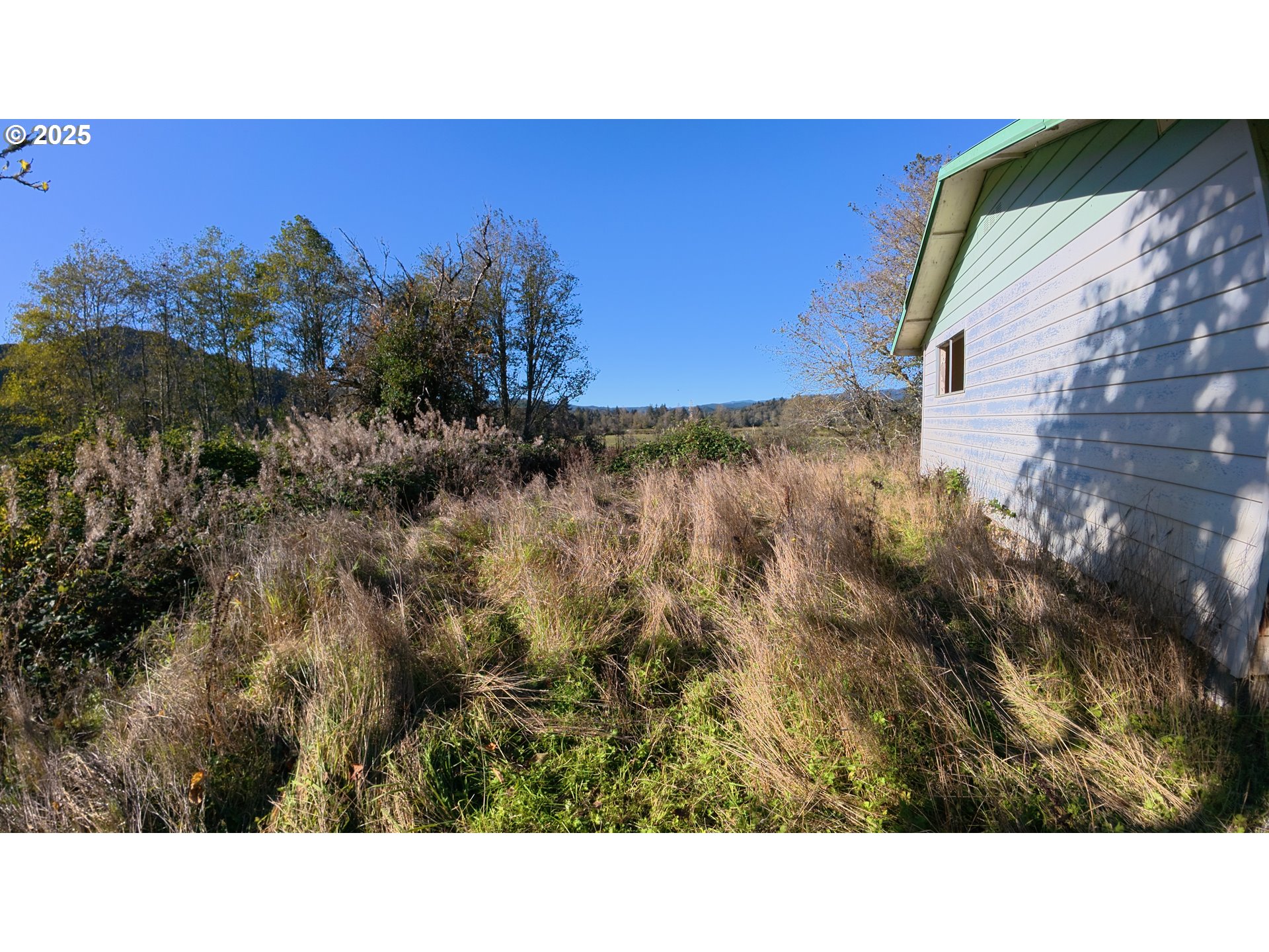 105 East Valley Road Skamokawa, WA 98647 - Photo 15 of 29 a black and white photo of a park