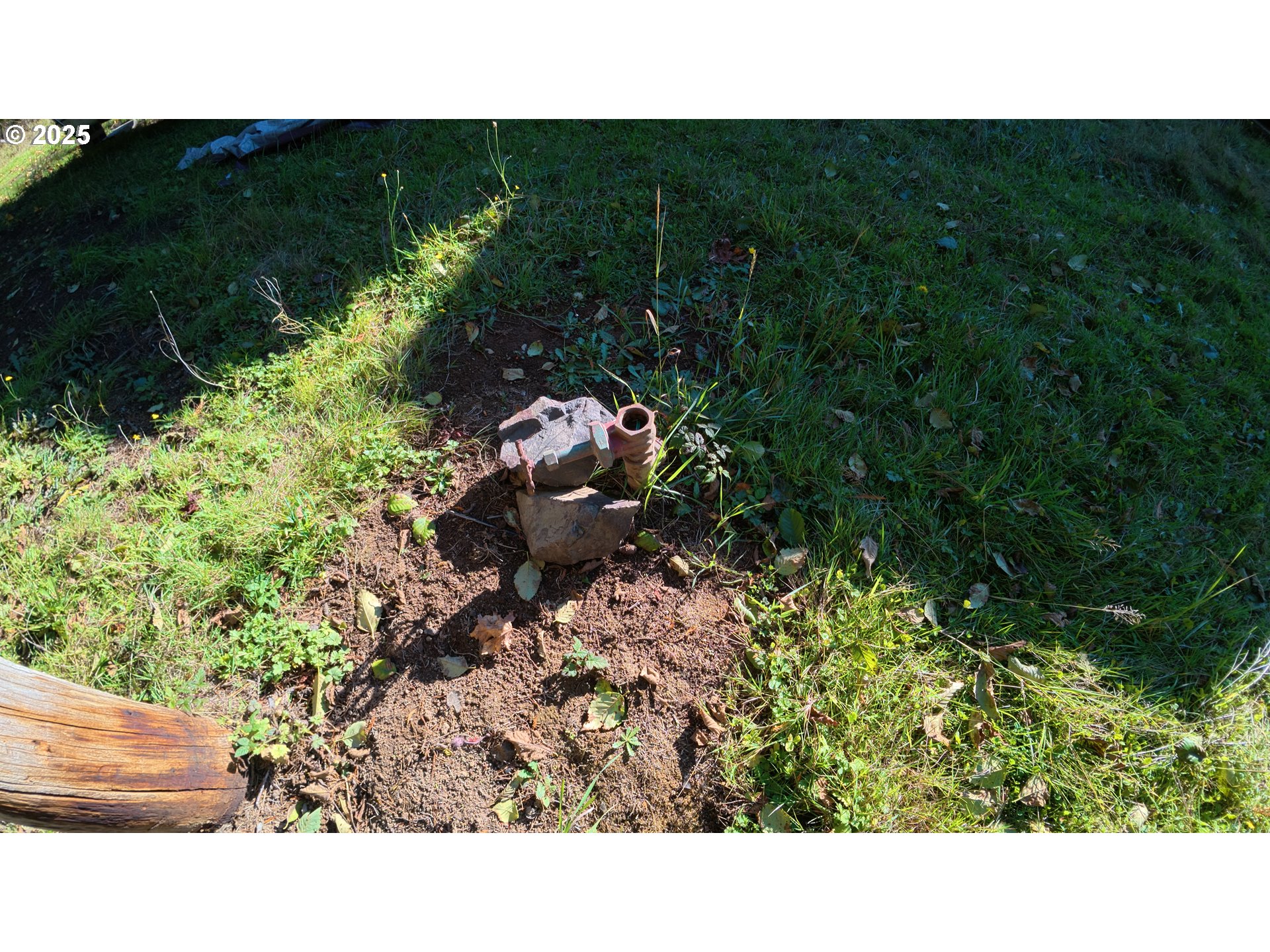 105 East Valley Road Skamokawa, WA 98647 - Photo 21 of 29 a black and white photo of a garden