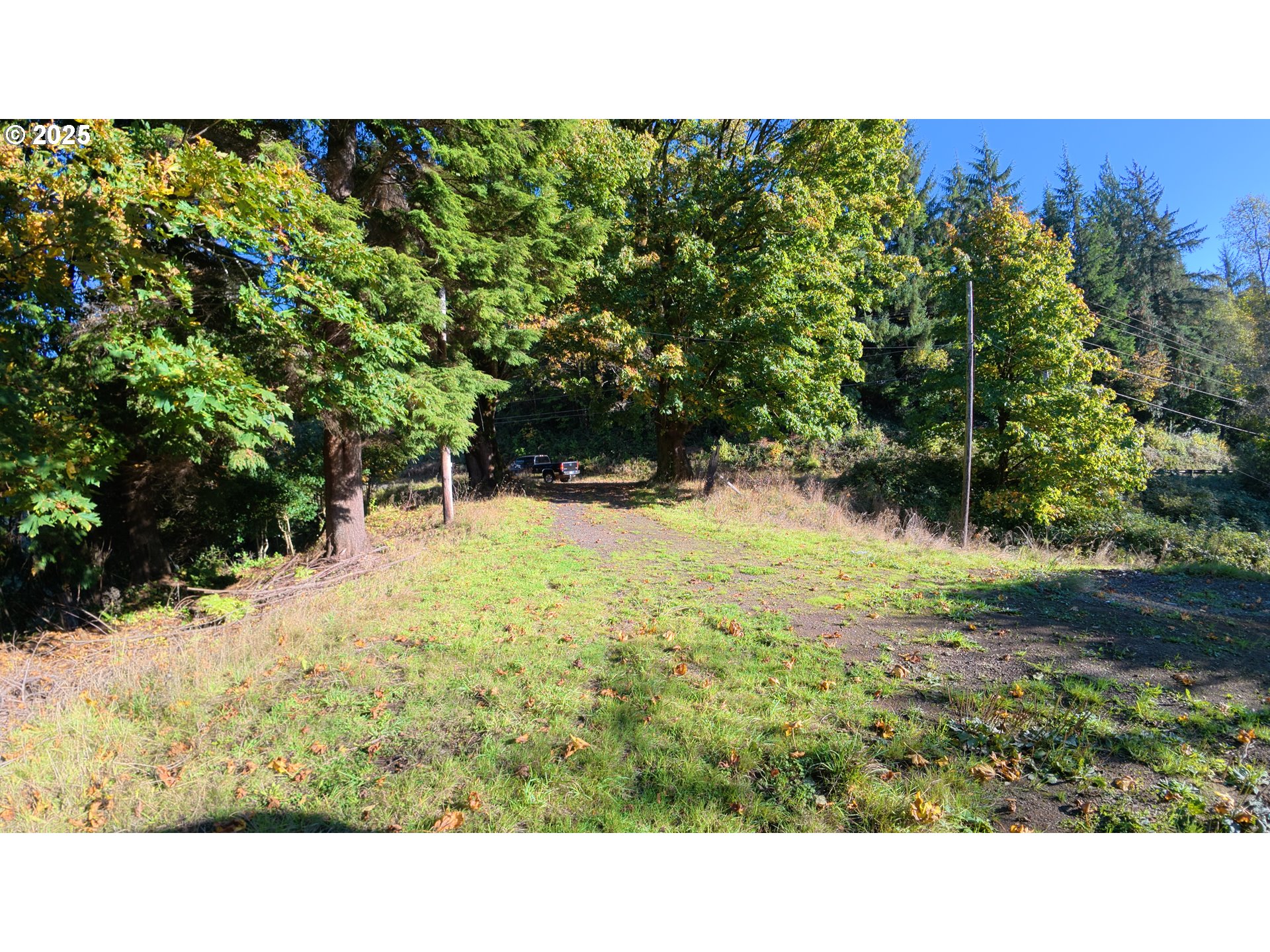 105 East Valley Road Skamokawa, WA 98647 - Photo 9 of 29 a view of a backyard