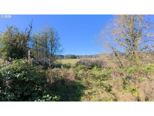 $795,000 | 105 East Valley Road, Skamokawa, WA 98647