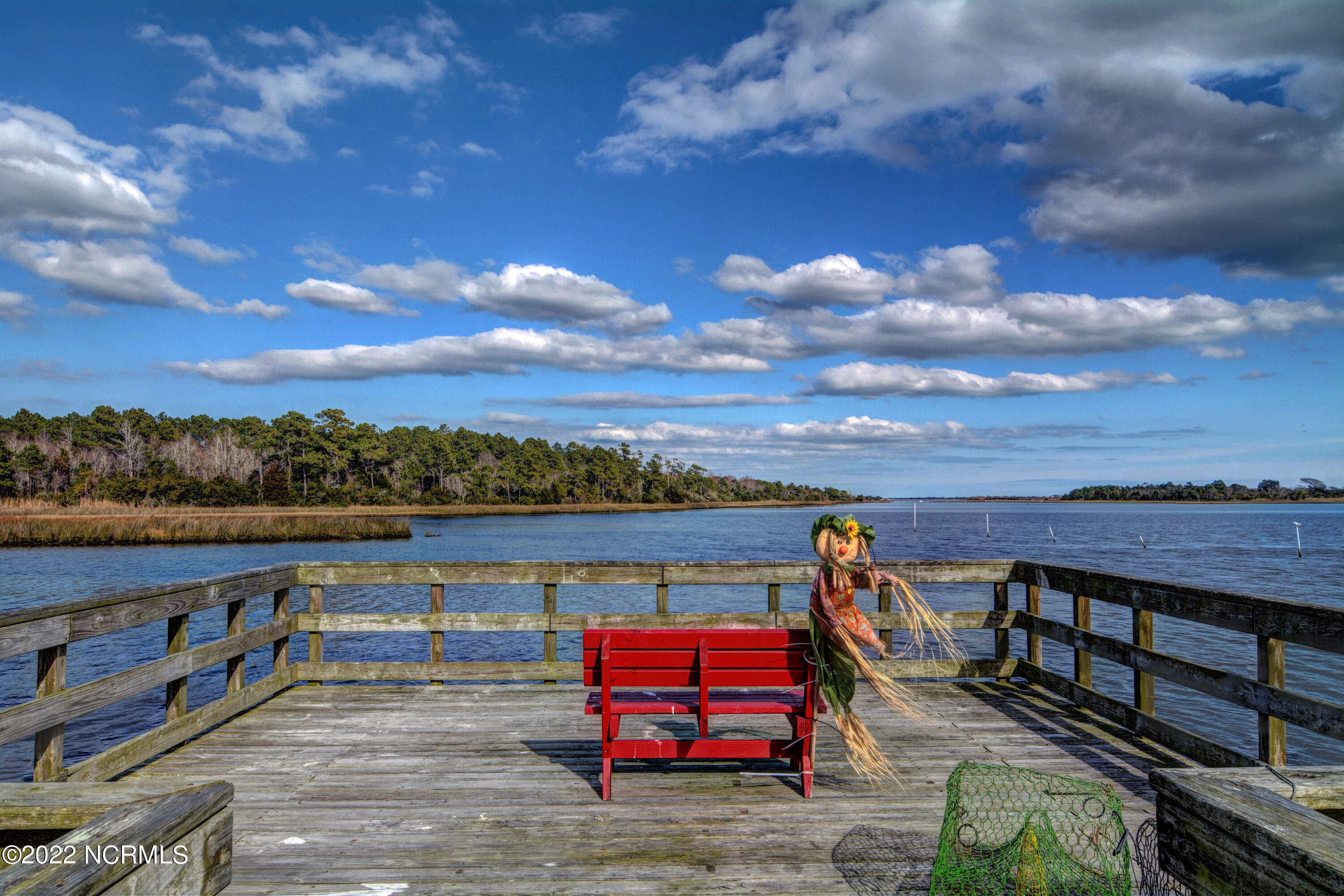 113 Percy Padgett Court Holly Ridge, NC 28445 - Photo 36 of 38 037_dsc_4241_2_3