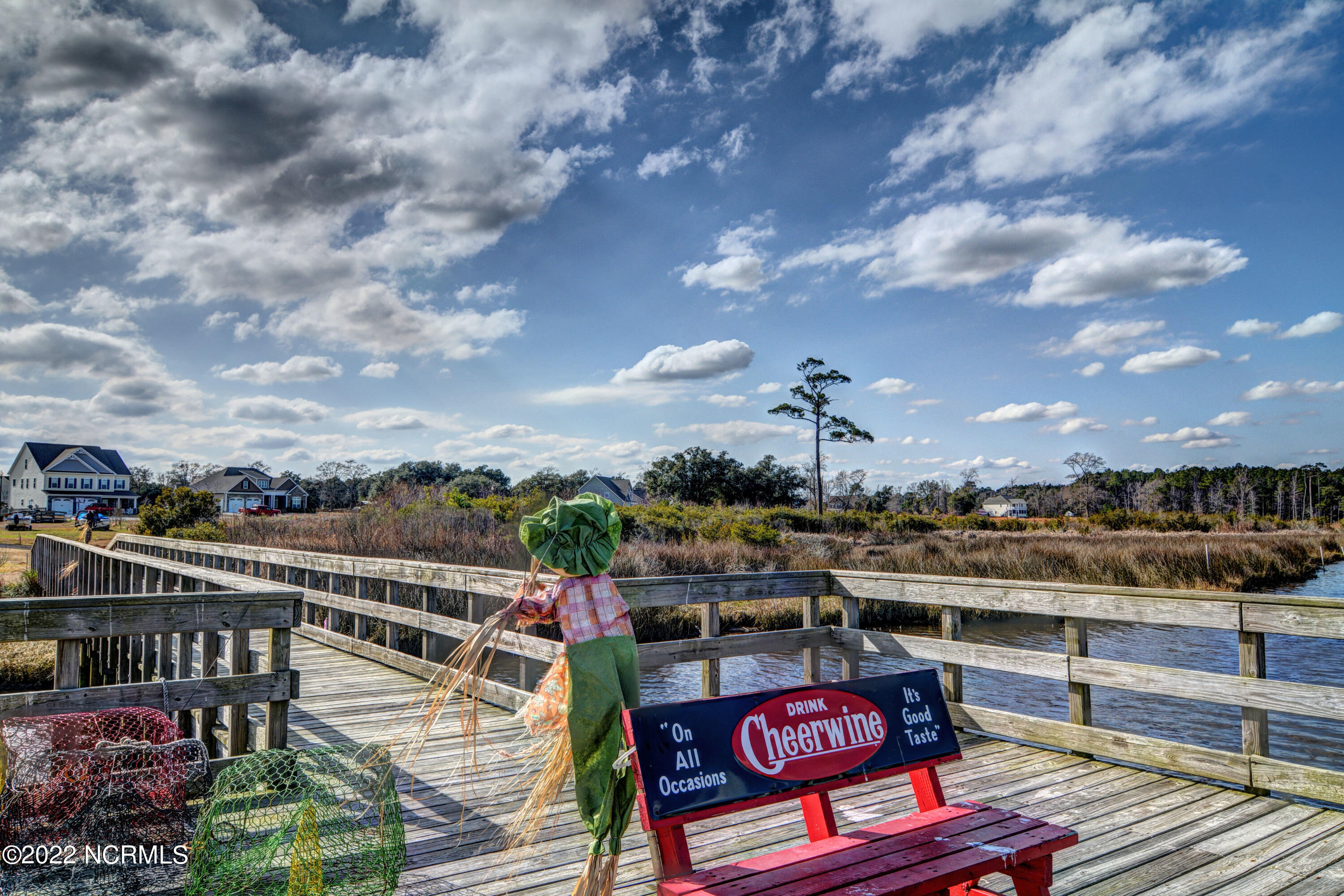 113 Percy Padgett Court Holly Ridge, NC 28445 - Photo 37 of 38 039_dsc_4253_4_5