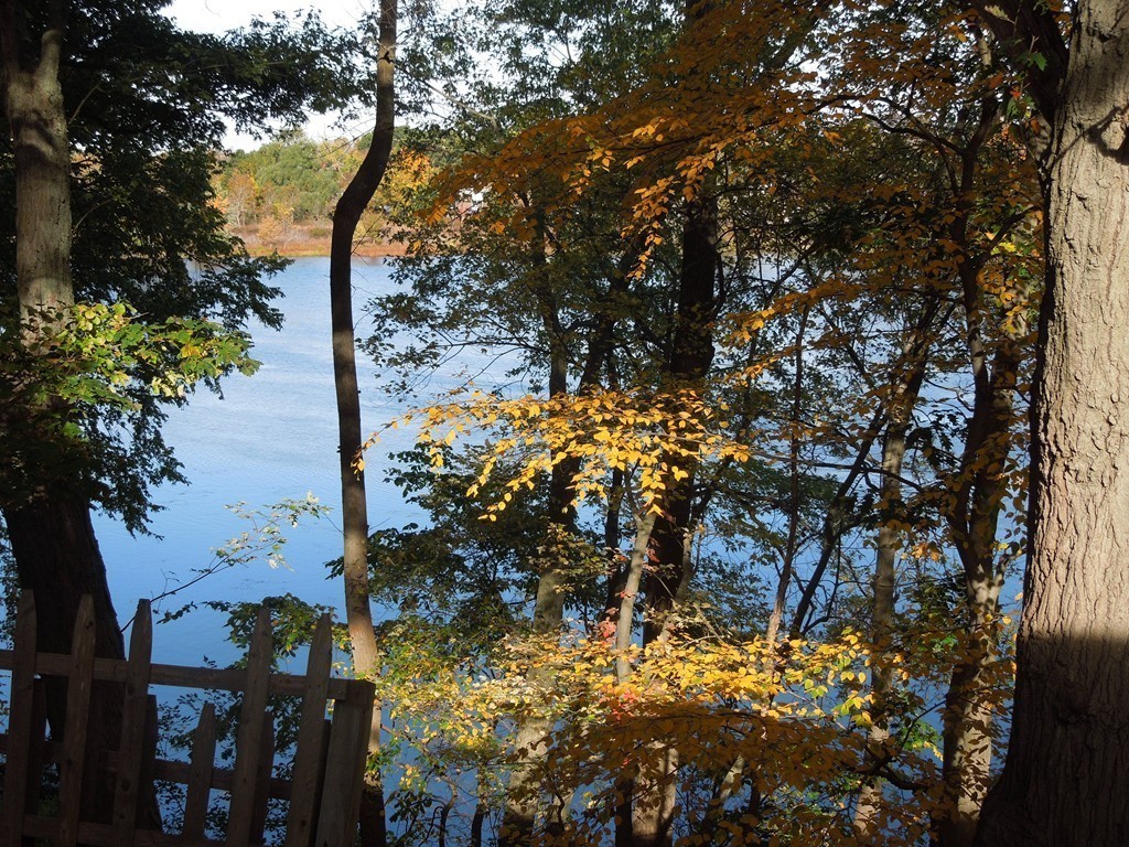 189 Riverside Drive Dedham, MA 02026 - Photo 5 of 15 Gallery Image 5