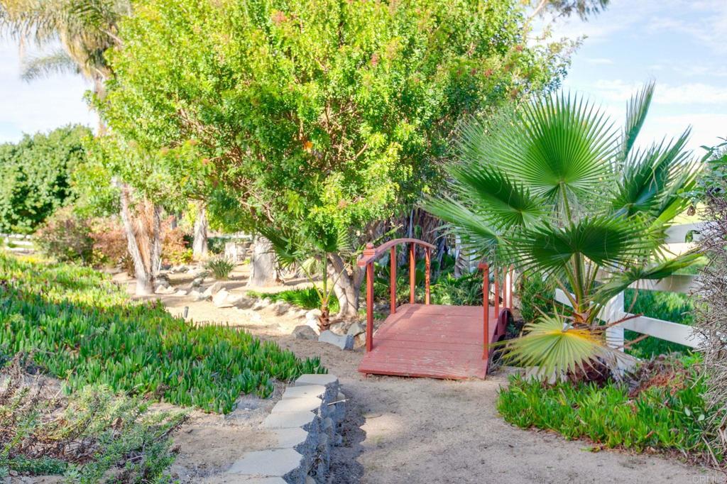 623 Quail Gardens Lane Encinitas, CA 92024 - Photo 8 of 33 a view of a yard with plants and a palm tree