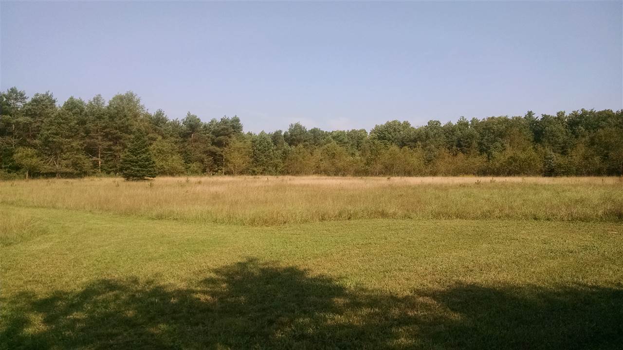 3009 Hammer Road West Kingsley, MI 49649 - Photo 30 of 88 1807549-29.JPG