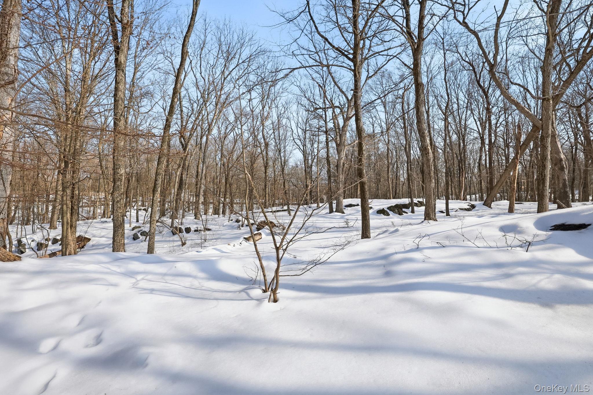 114 Old Lyme Road Chappaqua, NY 10514 - Photo 26 of 30