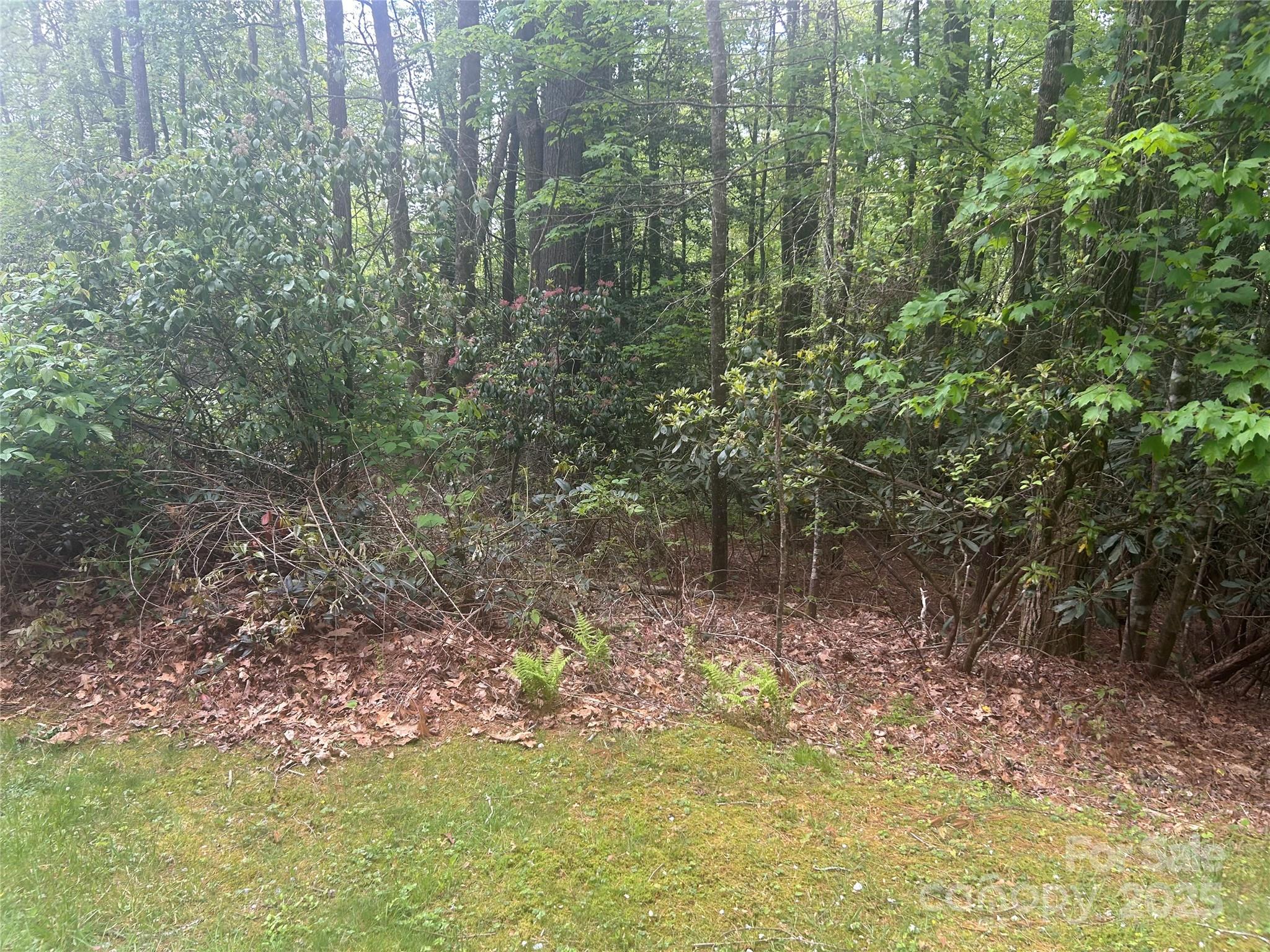 Tbd Upper Whitewater Road Sapphire, NC 28774 - Photo 2 of 6