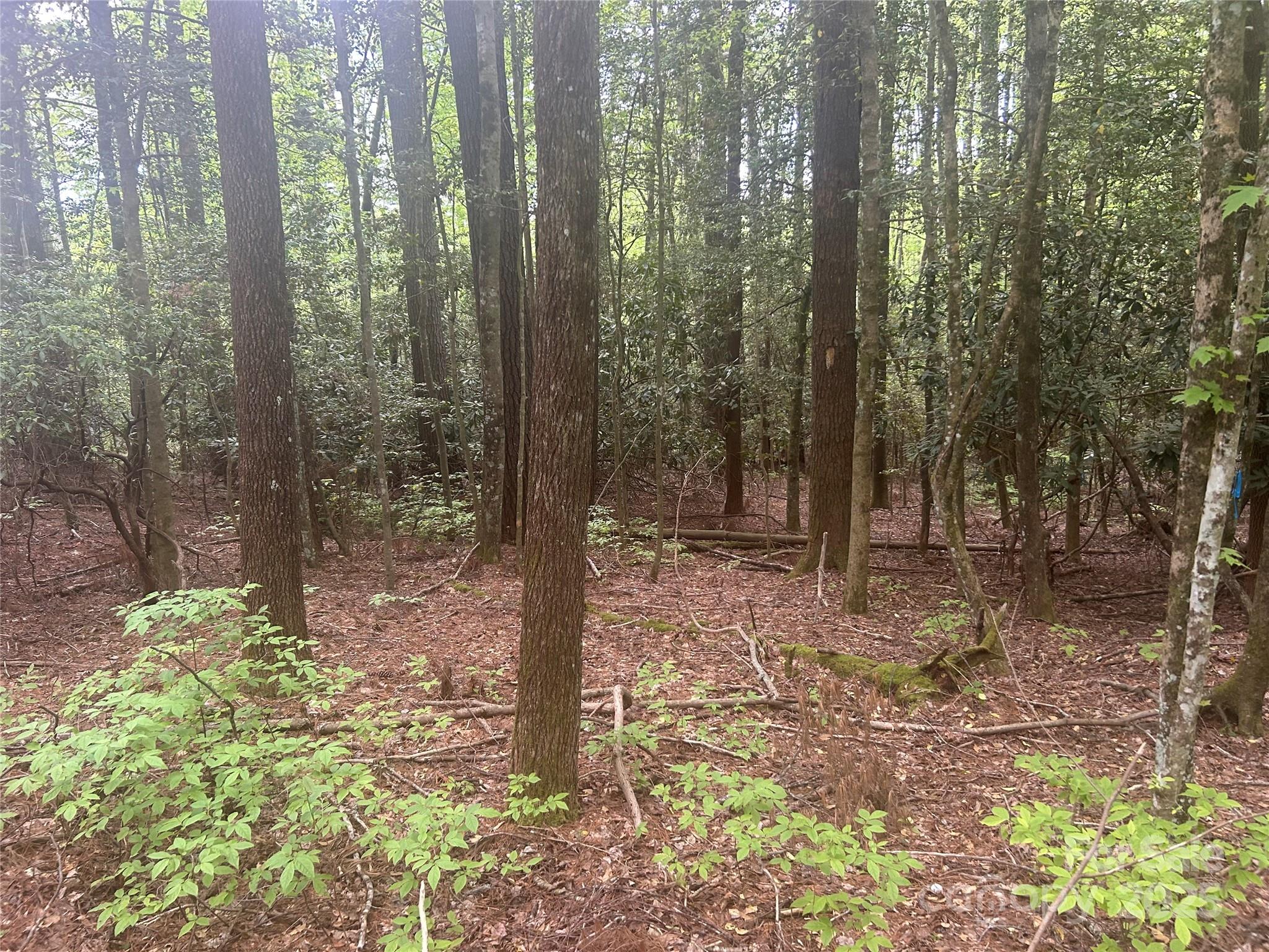 Tbd Upper Whitewater Road Sapphire, NC 28774 - Photo 3 of 6