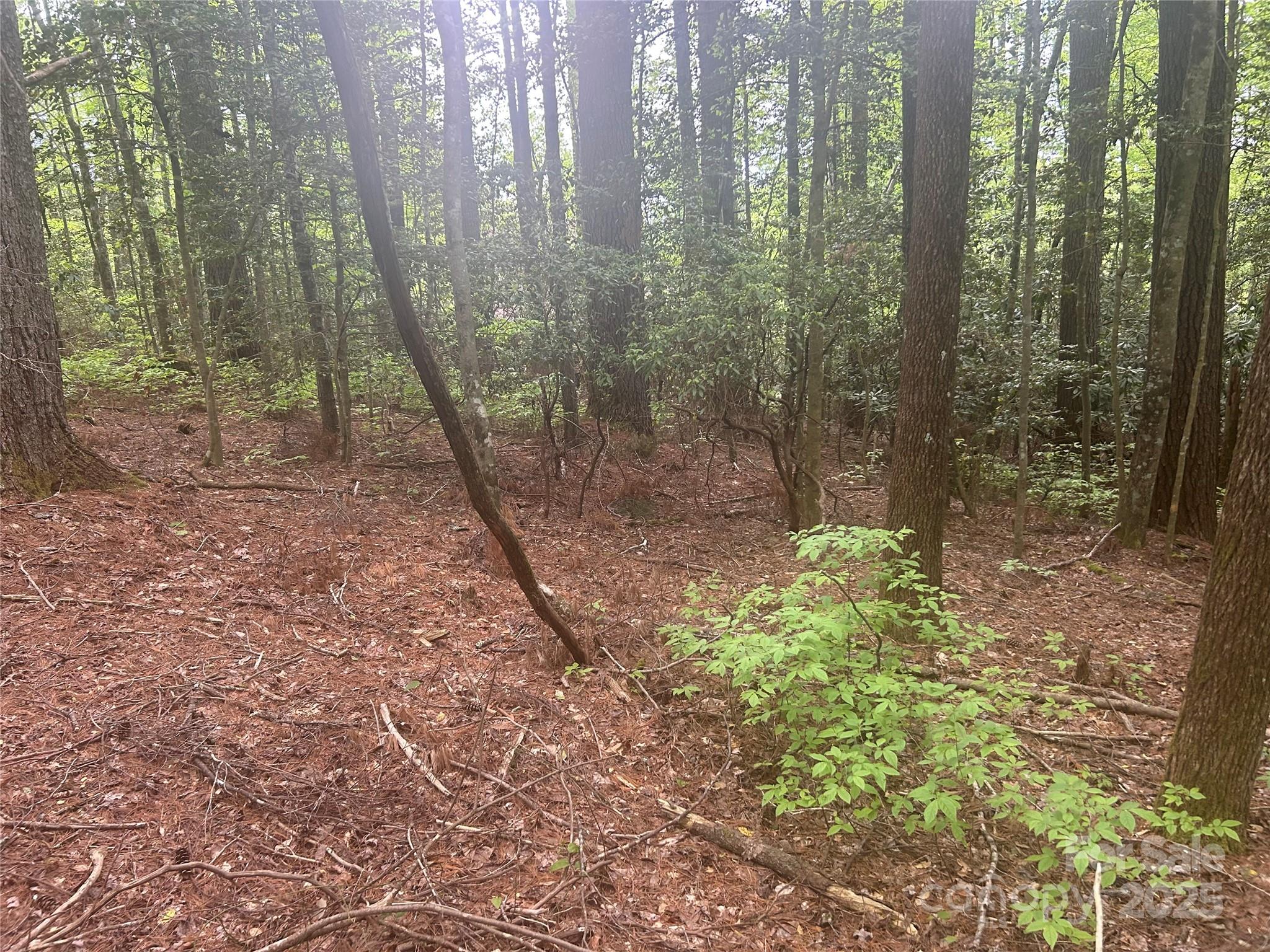 Tbd Upper Whitewater Road Sapphire, NC 28774 - Photo 4 of 6