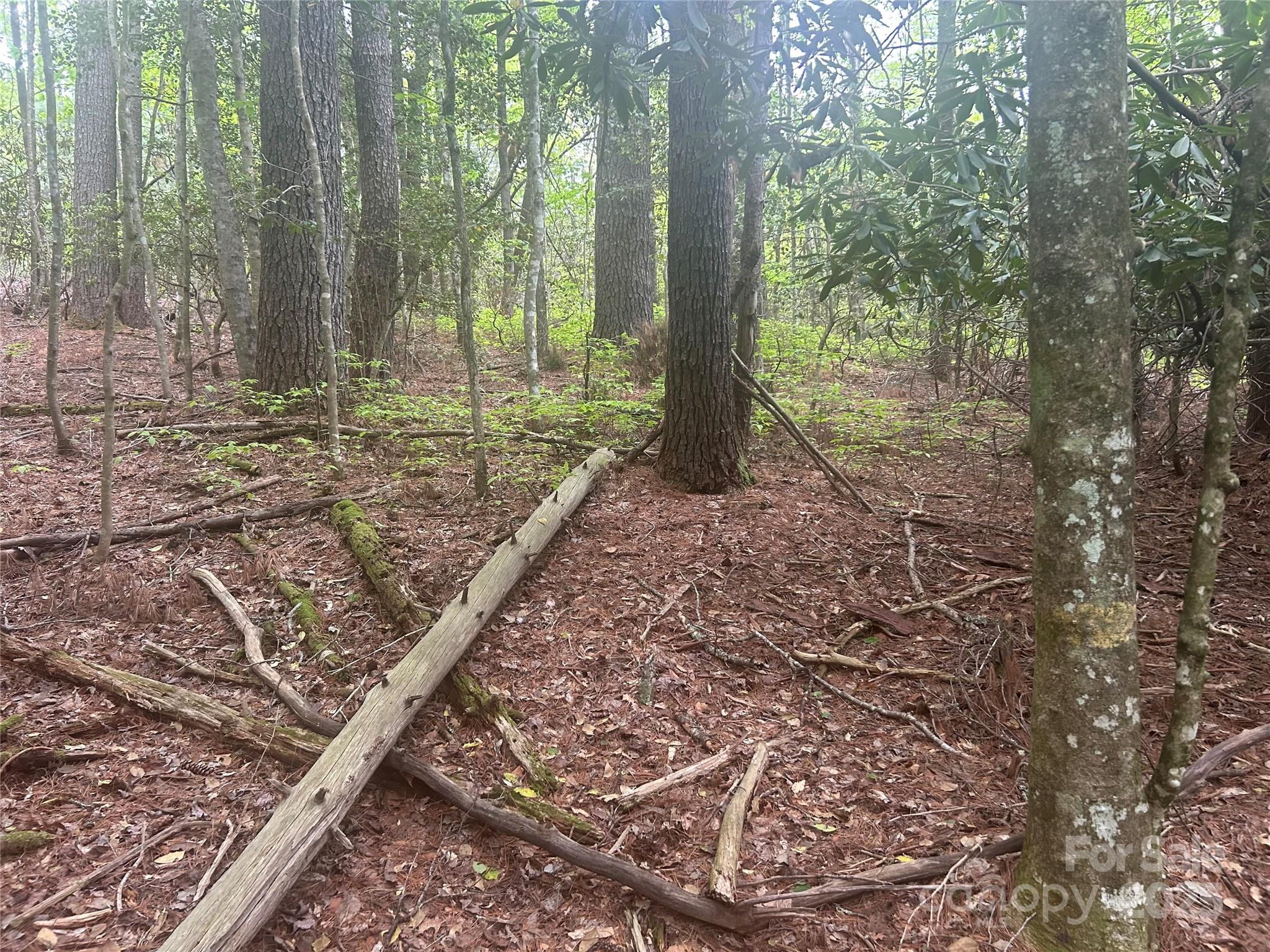 Tbd Upper Whitewater Road Sapphire, NC 28774 - Photo 6 of 6