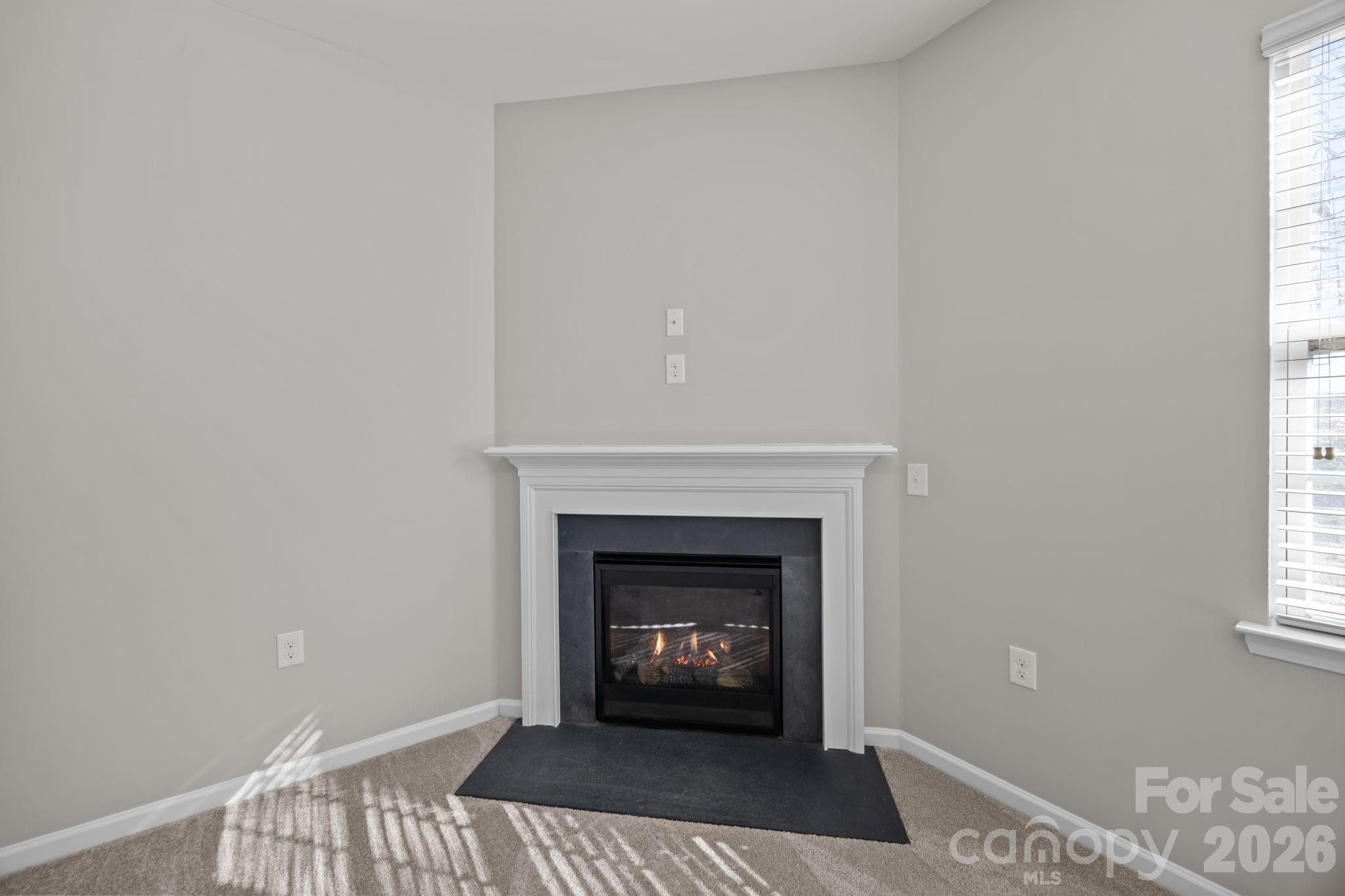 116 Rippling Water Drive Mount Holly, NC 28120 - Photo 8 of 48 a living room with a fireplace