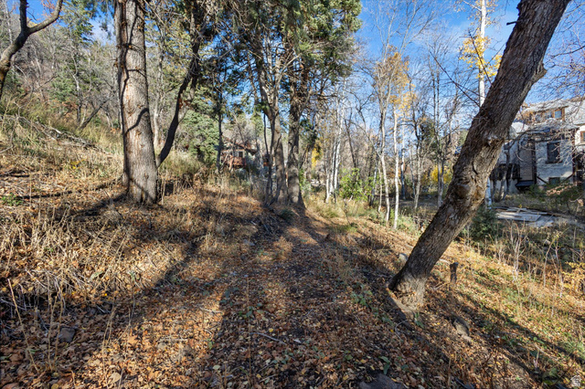 9128 Timphaven Road, Unit 15 Provo, UT 84604 - Photo 11 of 25