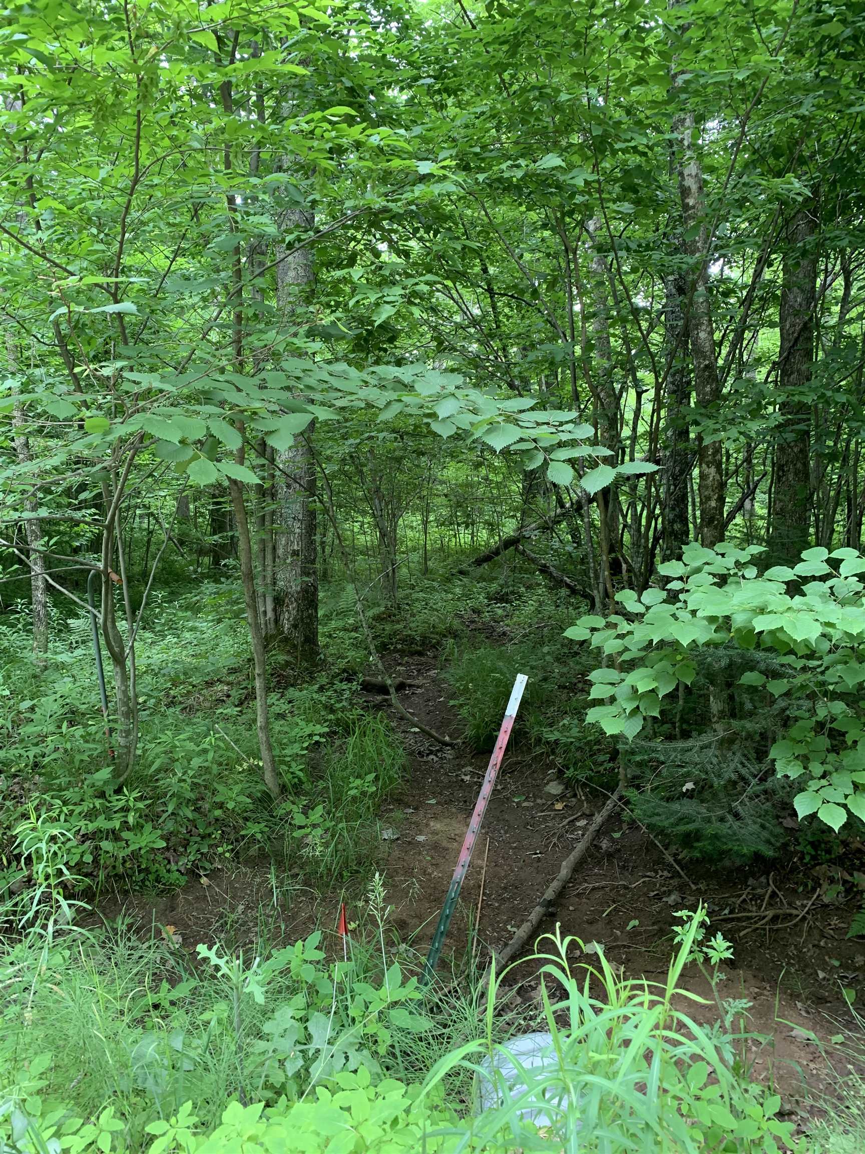 0 Smt Wds Lane Gleason, WI 54435 - Photo 11 of 17
