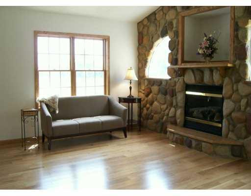 3604 Chapman Road Stockbridge, MI 49285 - Photo 3 of 8 Photo 3