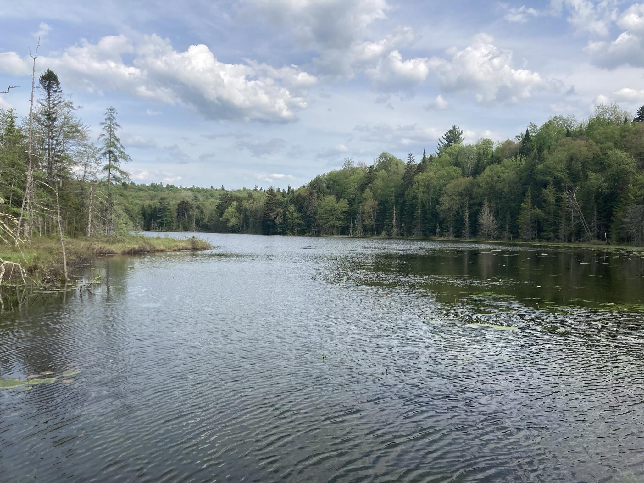 0 Eagle Pond Road Malone, NY 12953 - Photo 1 of 13