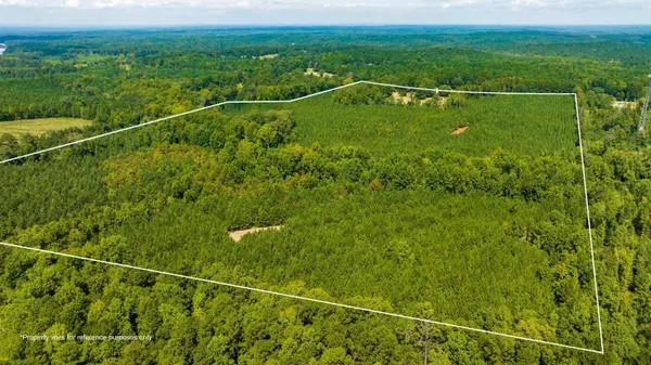 a view of a dining room with furniture wooden floor and chandelier