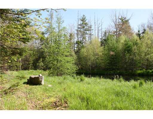 14 Littlefield Lane Penobscot, ME 04476 - Photo 16 of 16 Land. Farm pond with sitting rock.