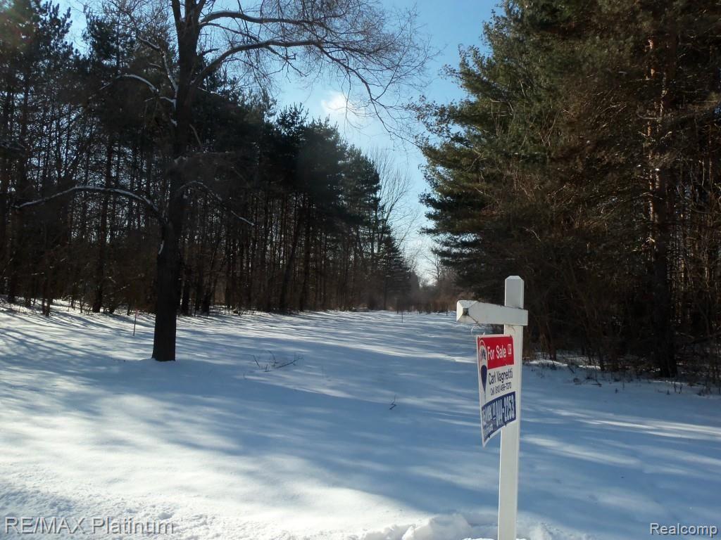Parcel A Parcel A Roberts Drive Fenton, MI 48430 - Photo 2 of 4