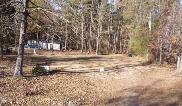 a view of dirt yard with a large tree