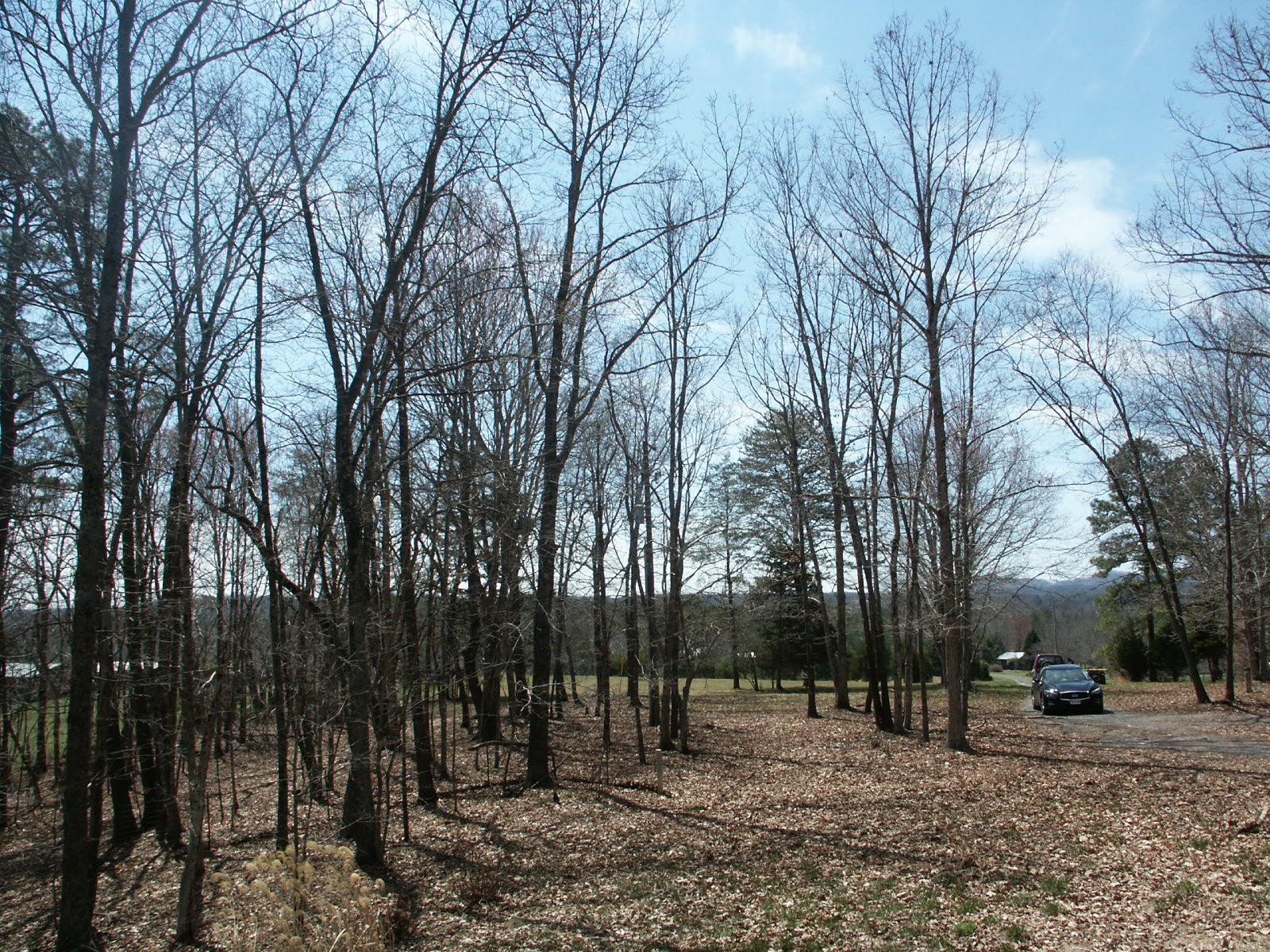 2608 Shepherds Store Road Bedford, VA 24523 - Photo 14 of 19 2014-04-06 01
