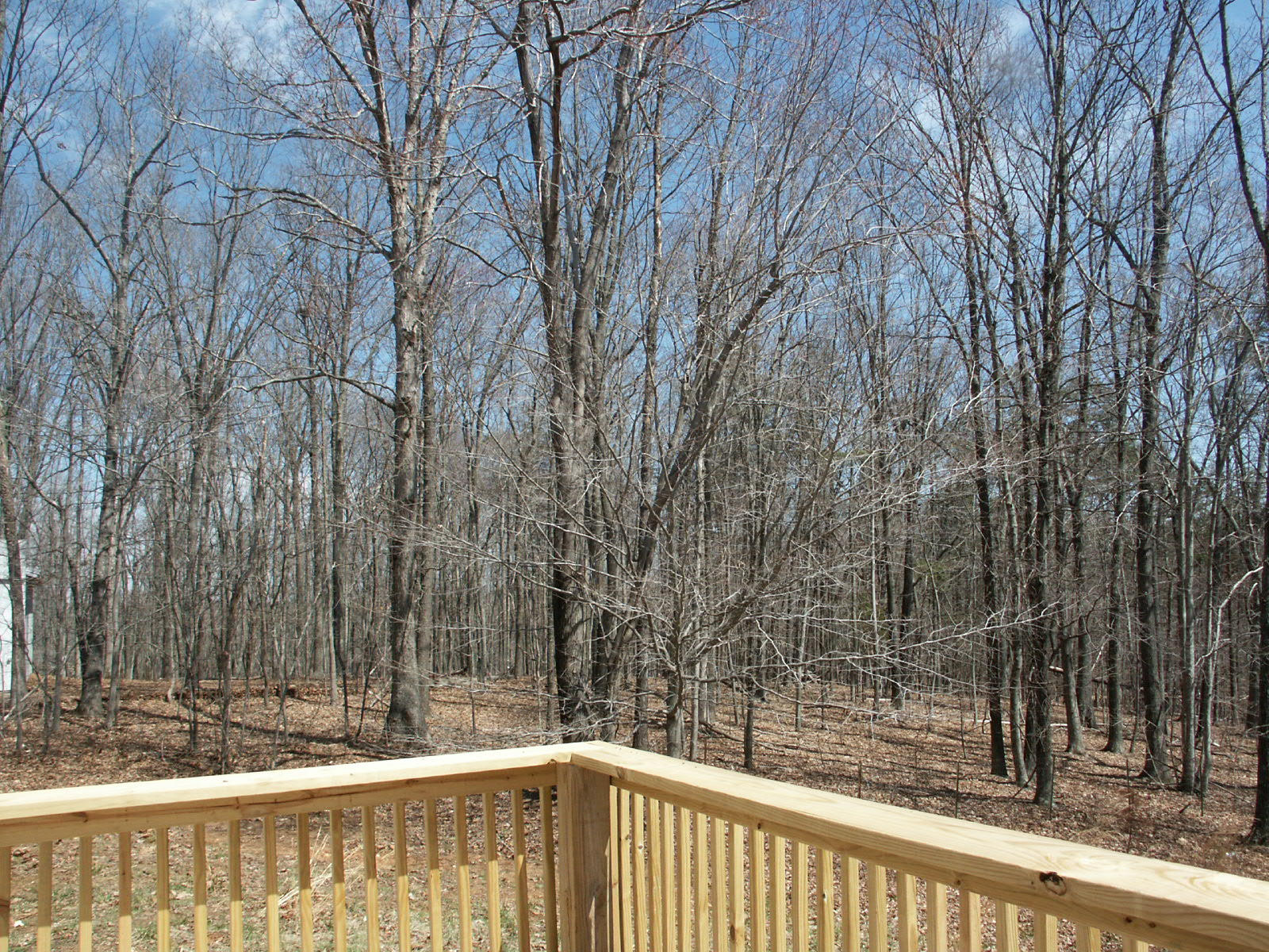 2608 Shepherds Store Road Bedford, VA 24523 - Photo 15 of 19 2014-04-06 01