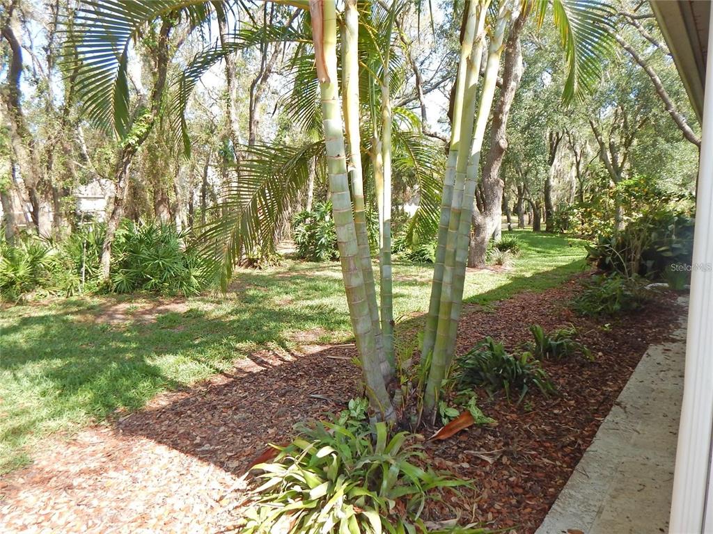 5925 Sandhill Ridge Drive Lithia, FL 33547 - Photo 11 of 35