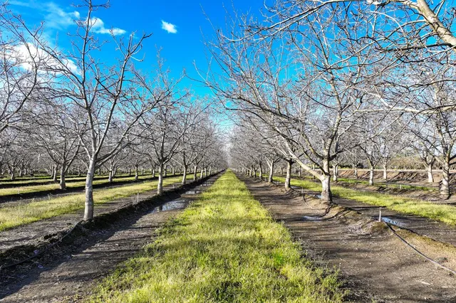 $6,709,000 | 3012 North Oakmore Road, Tulare, CA 93274