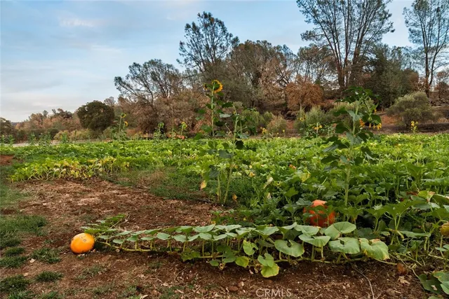 $1,800,000 | 6237 Cohasset Road, Chico, CA 95973