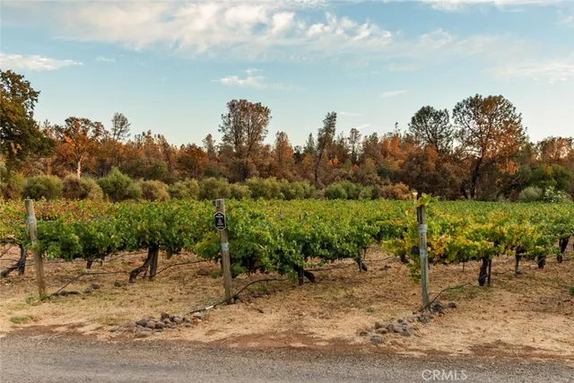 $1,800,000 | 6237 Cohasset Road, Chico, CA 95973