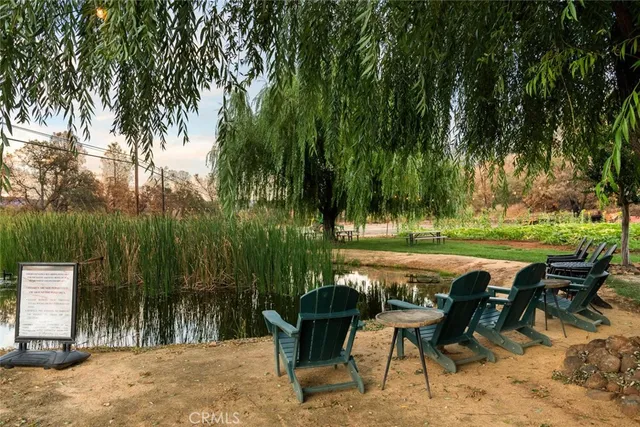 a view of a town with large trees