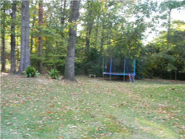 103 Eva Lane Clinton, MS 39056 - Photo 15 of 22 Back yard