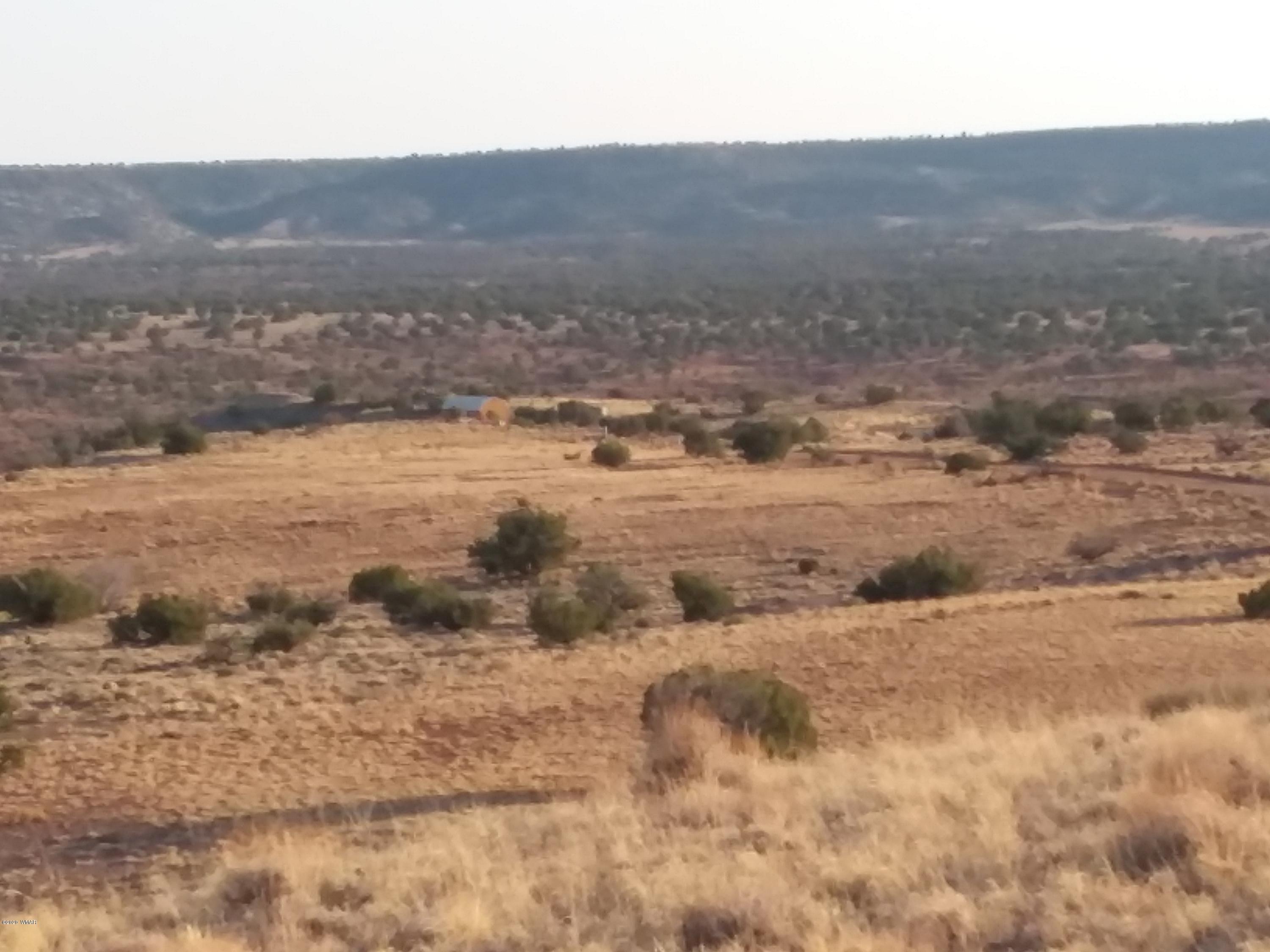 Lot 199 River Springs Ranch St. Johns, AZ 85936 - Photo 13 of 14