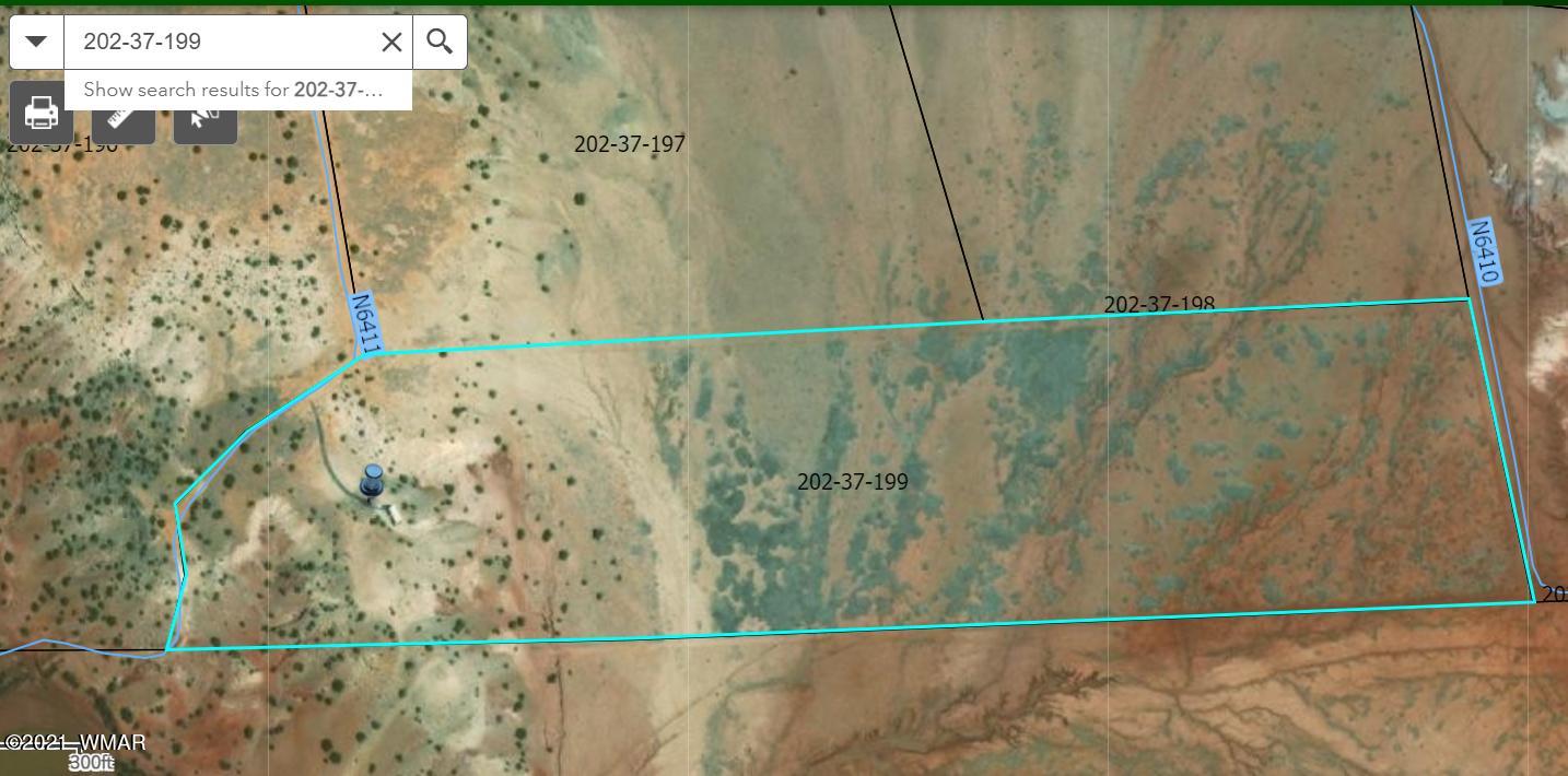 Lot 199 River Springs Ranch St. Johns, AZ 85936 - Photo 14 of 14