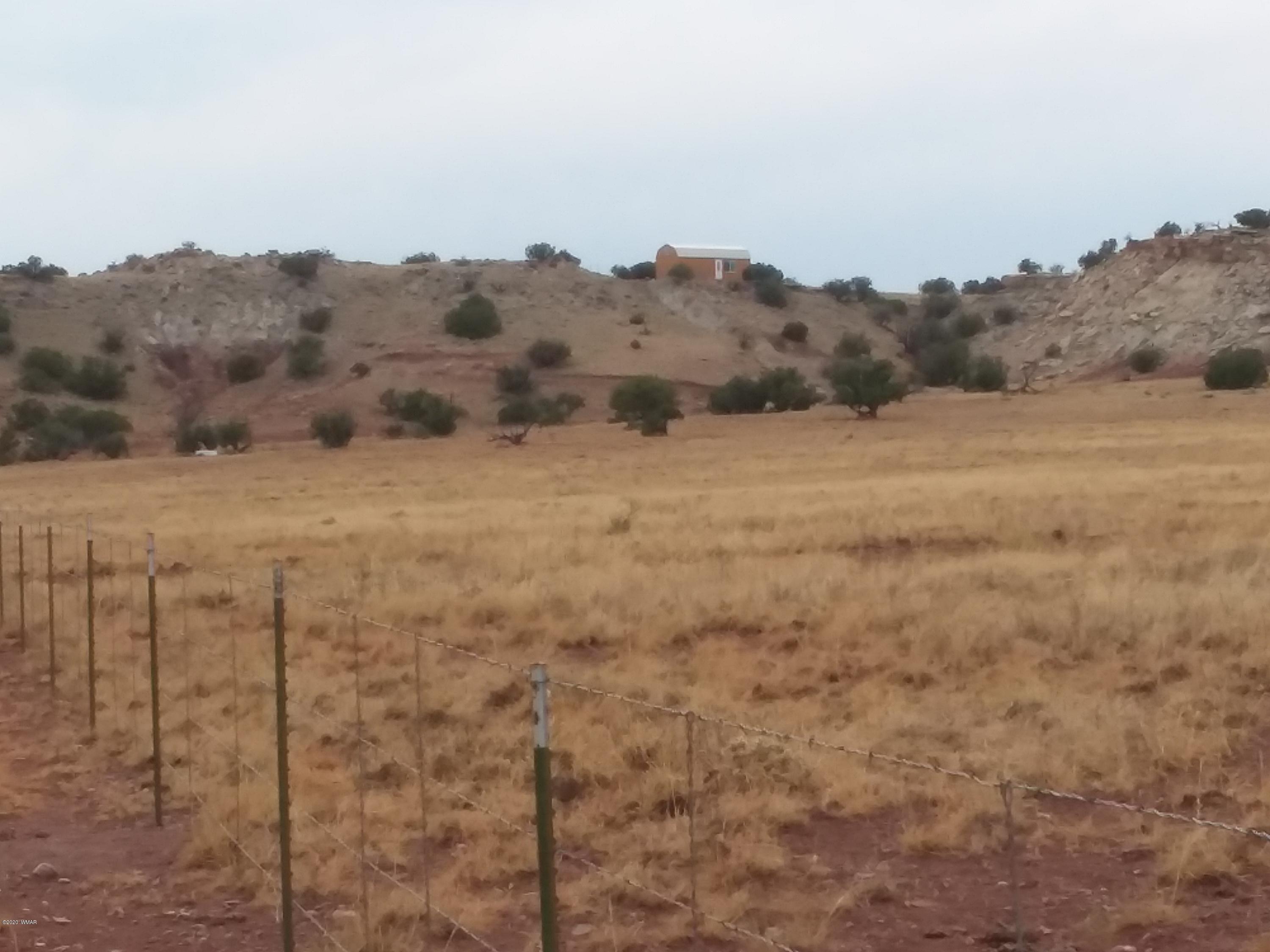 Lot 199 River Springs Ranch St. Johns, AZ 85936 - Photo 5 of 14