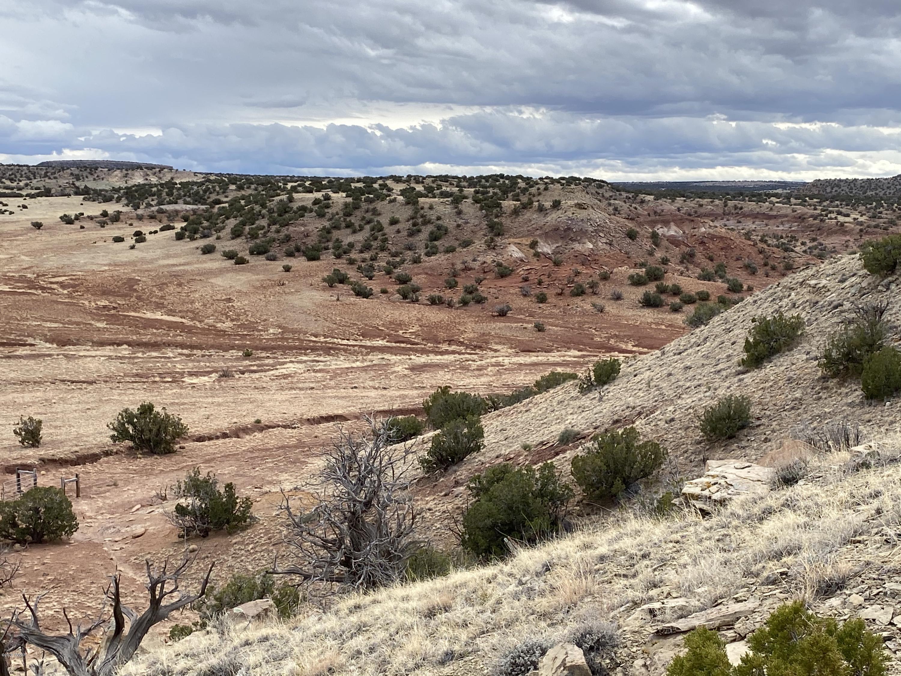 Lot 199 River Springs Ranch St. Johns, AZ 85936 - Photo 6 of 14