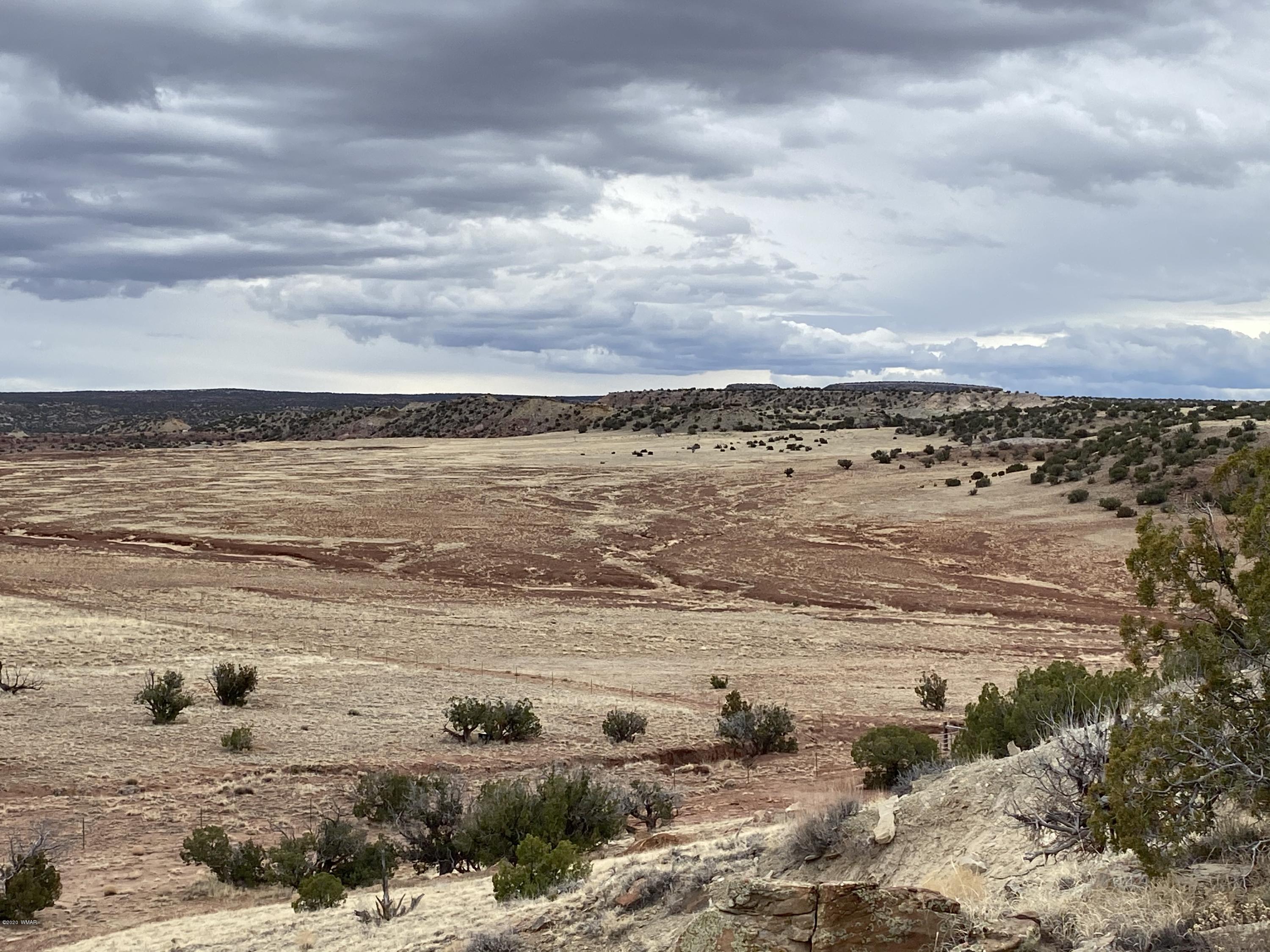 Lot 199 River Springs Ranch St. Johns, AZ 85936 - Photo 8 of 14