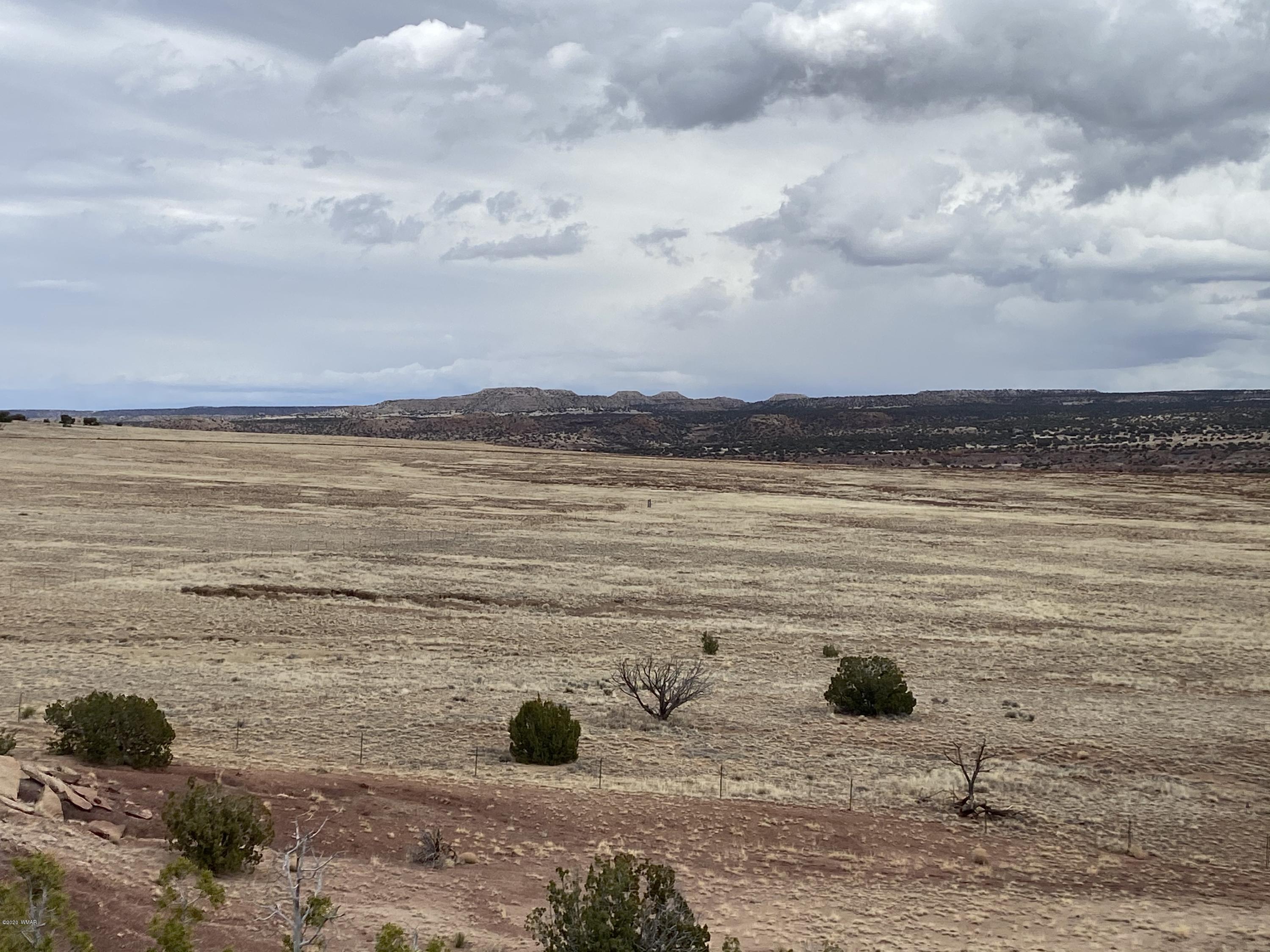 Lot 199 River Springs Ranch St. Johns, AZ 85936 - Photo 9 of 14