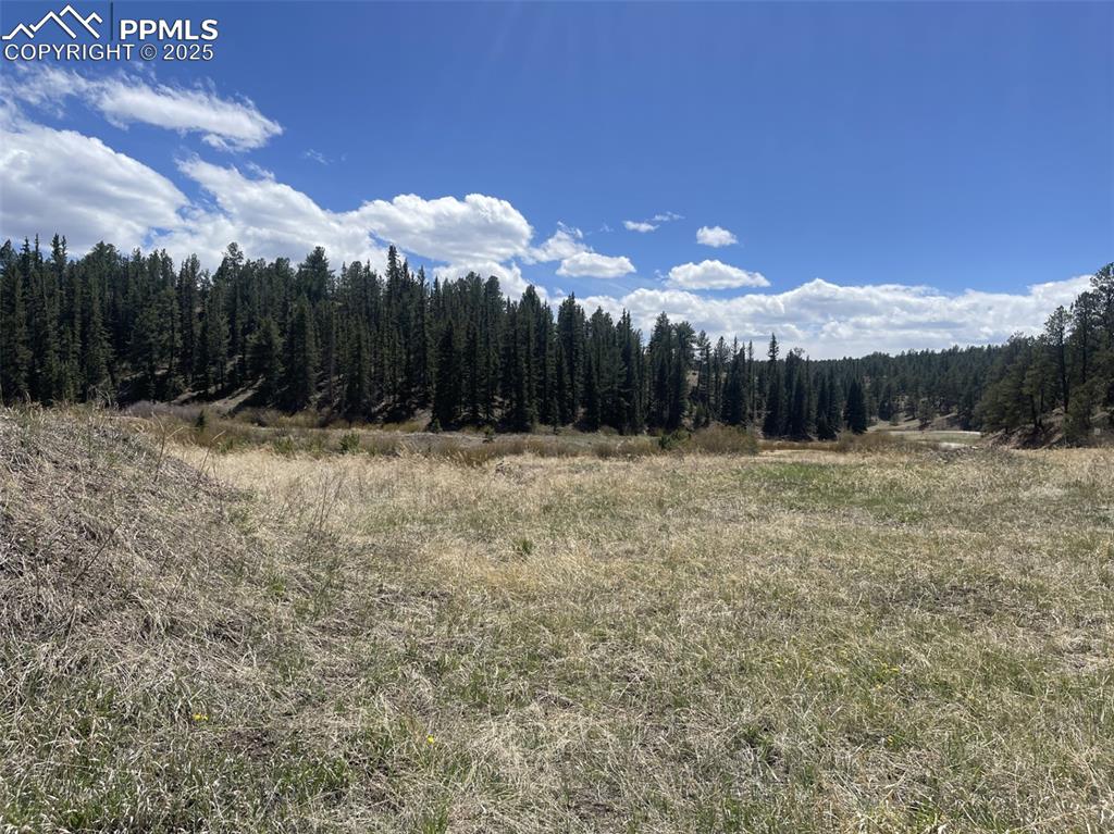 a view of outdoor space with green field
