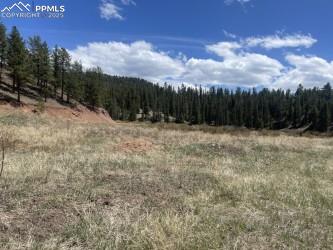 0 Wildhorn Road Florissant, CO 80816 - Photo 3 of 8 a view of outdoor space and yard