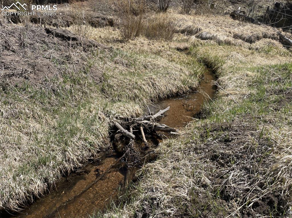 0 Wildhorn Road Florissant, CO 80816 - Photo 5 of 8 a view of a yard with plants and trees