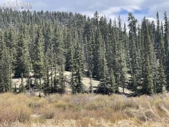 0 Wildhorn Road Florissant, CO 80816 - Photo 7 of 8 a view of a covered with snow in front of yard