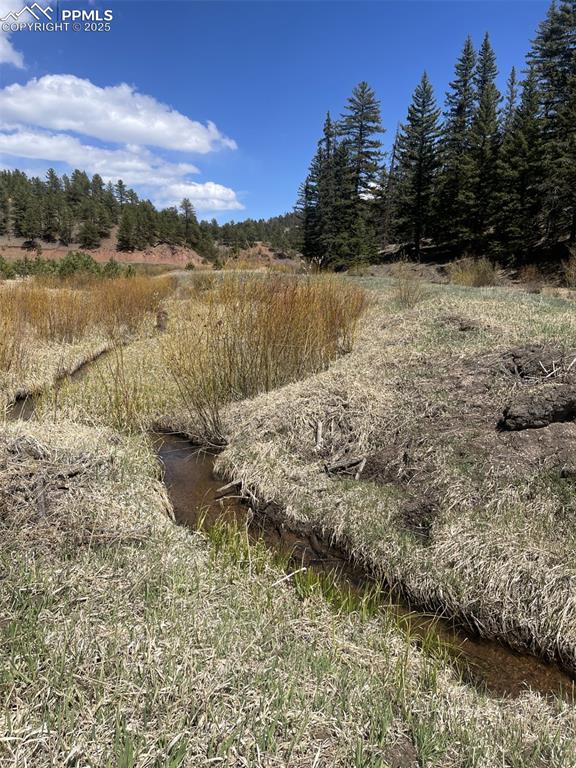 0 Wildhorn Road Florissant, CO 80816 - Photo 8 of 8 a view of lake