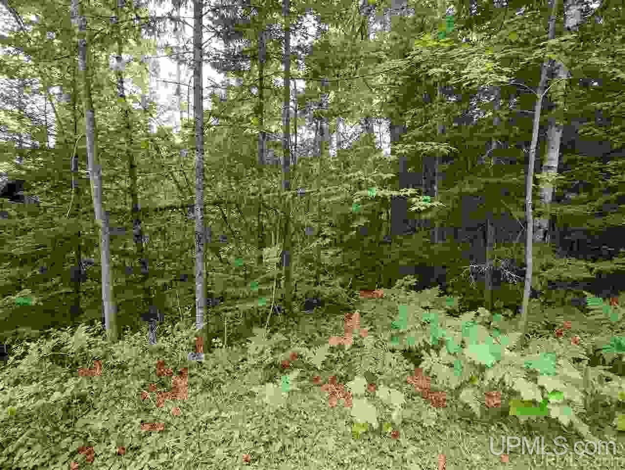 Lots 12-and 13 Lake Lily Road Mohawk, MI 49918 - Photo 8 of 27