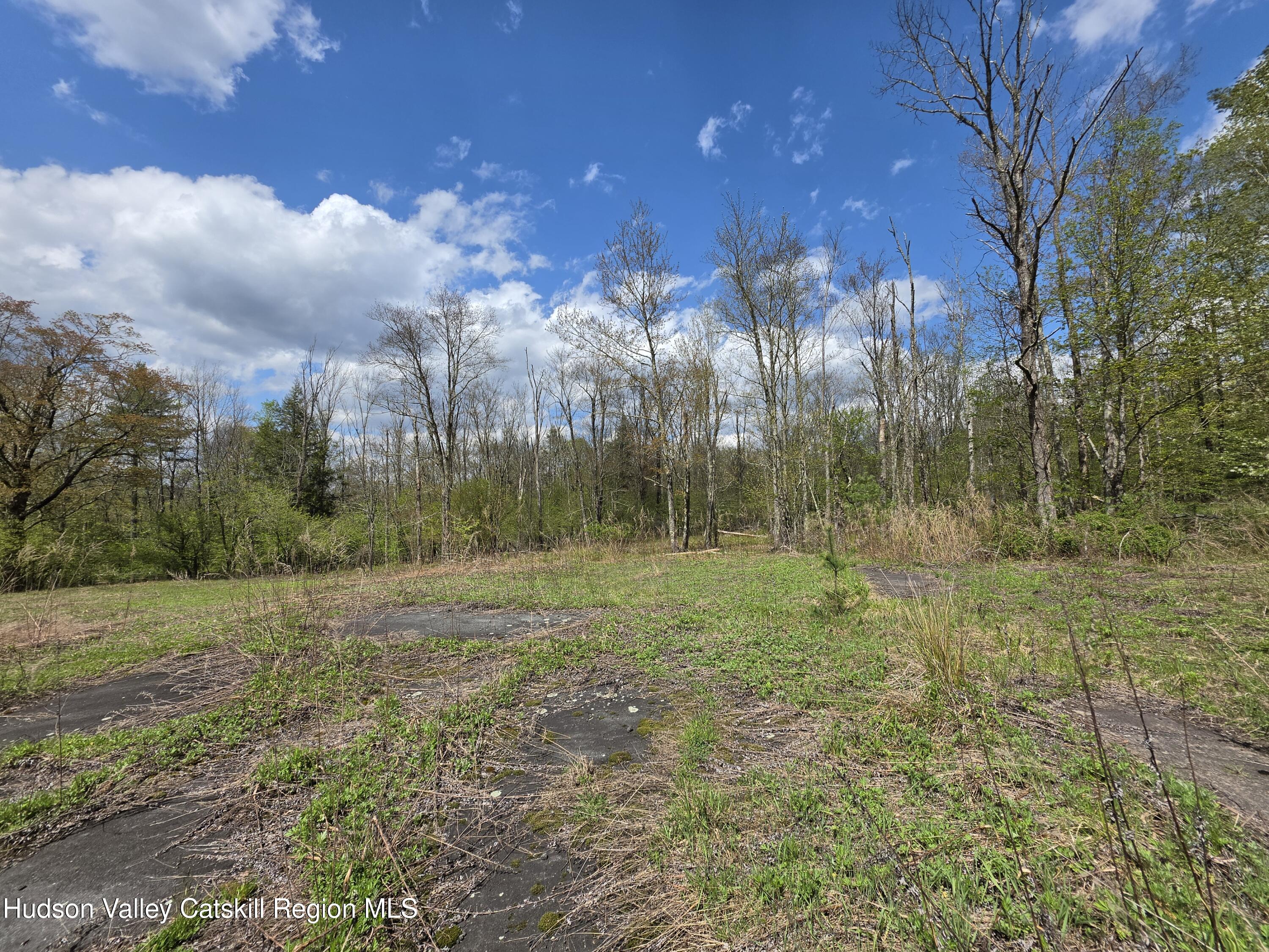 852 State Rt 17B Monticello, NY 12701 - Photo 22 of 26 a view of outdoor space and yard