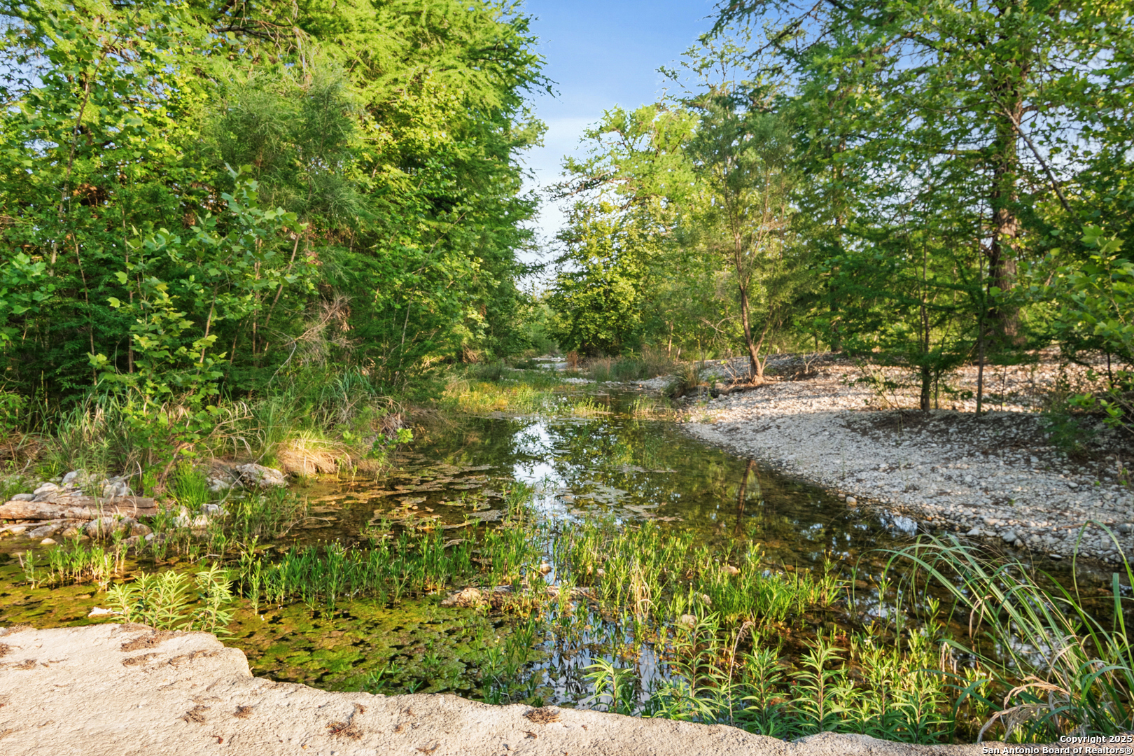 6641 Ranch Road 1120, Unit A B C D Rio Frio, TX 78879 - Photo 38 of 41 a view of a yard with a tree